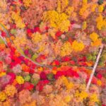 eunjungchoi@kakao.com