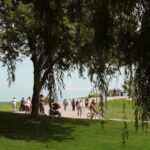 cjb.joanne@gmail.com