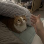 okadamasakie@naver.com